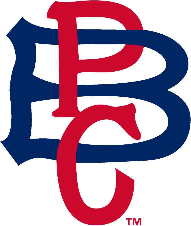 Pittsburgh Pirates 1908-1909 Primary Logo DIY iron on transfer (heat transfer)